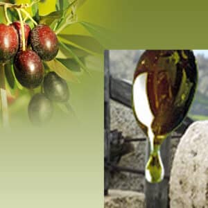 Gartenlust olivenöl-pausch